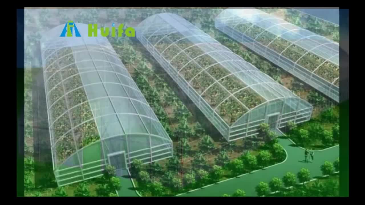 prefab commercial aquaponics plastic greenhouse structure