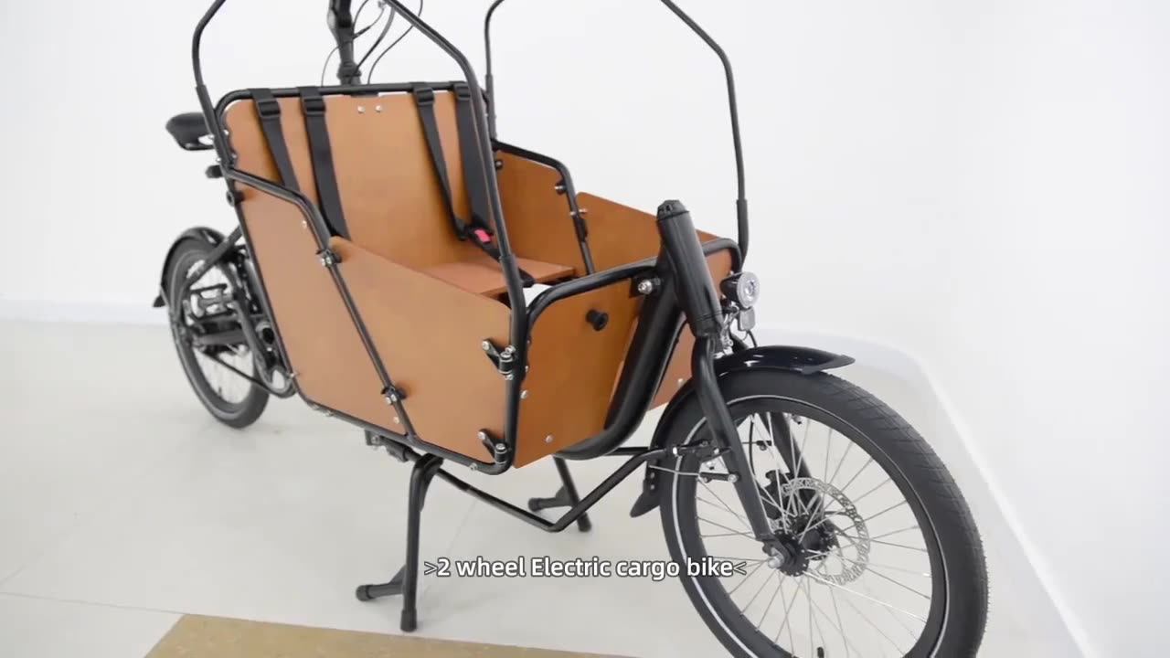 European Quality Aluminum Alloy Electric Bike Cargo Two Wheel Electric