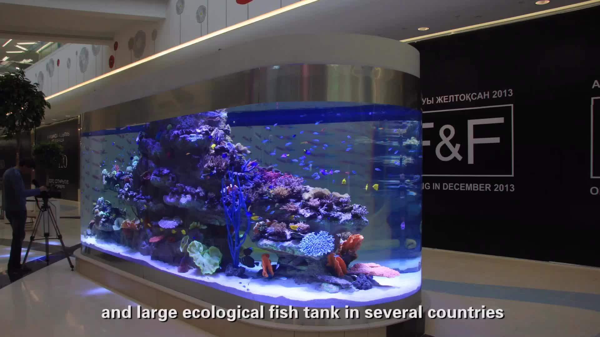 Plastic Products Big Acrylic Fish Tank Buy Fish Tank,Acrylic Fish