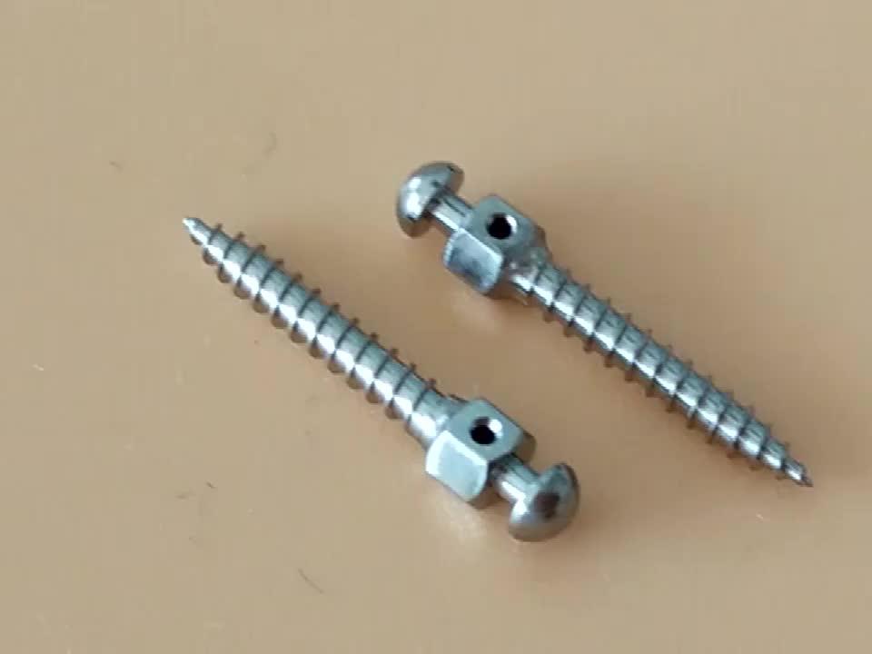1.6 Titanium Dental Implants Screw For Surgical Prosthesis Medical