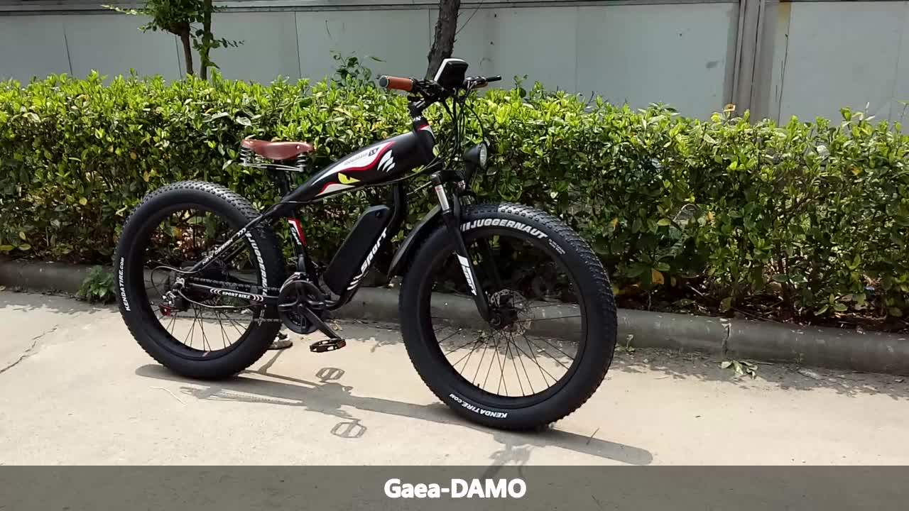 full suspension beach cruiser