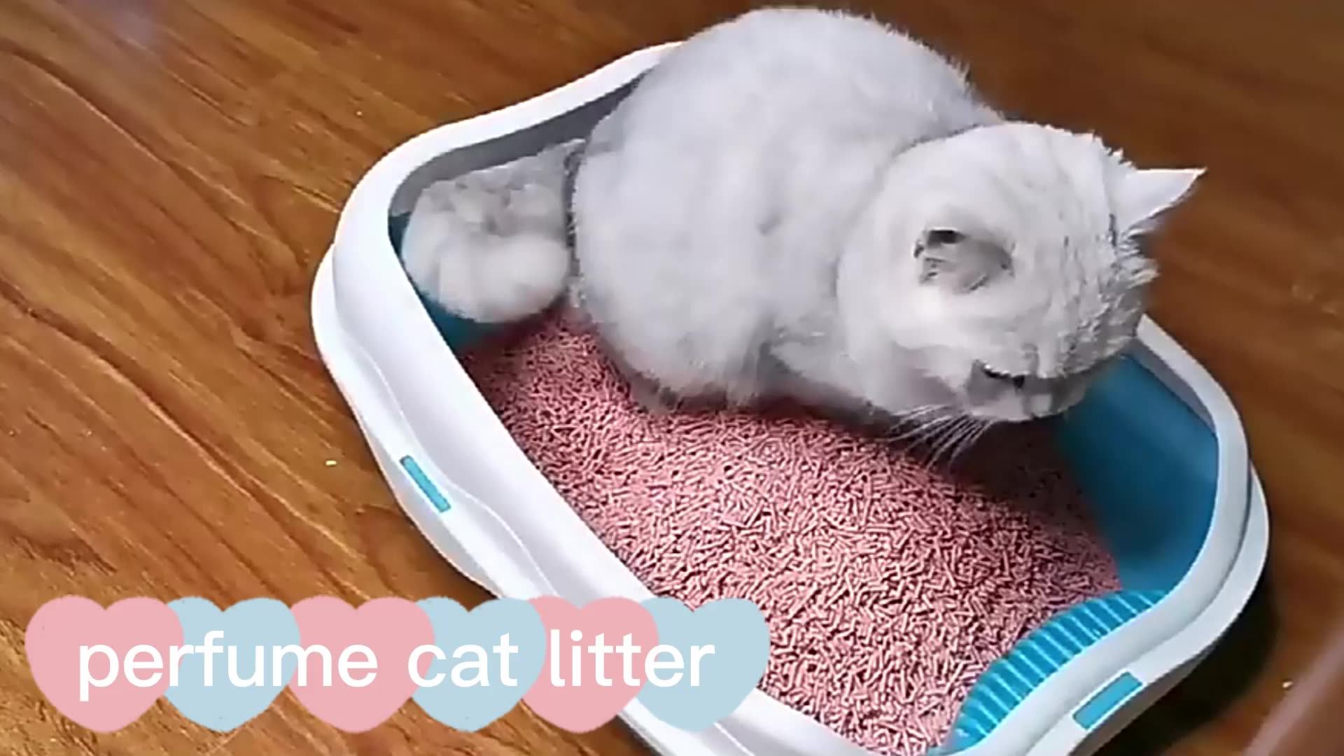 Factory Ultra Absorbent Dust Free Strip Shape Cat Litter Quickly