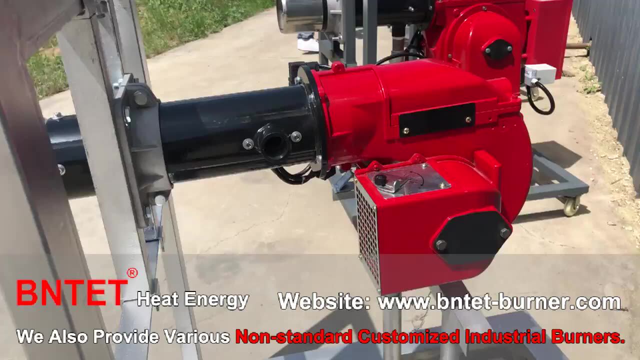 Domestic Burner Italian Baltur 200,000 Kcal Gas Burner 400,000 Kcal