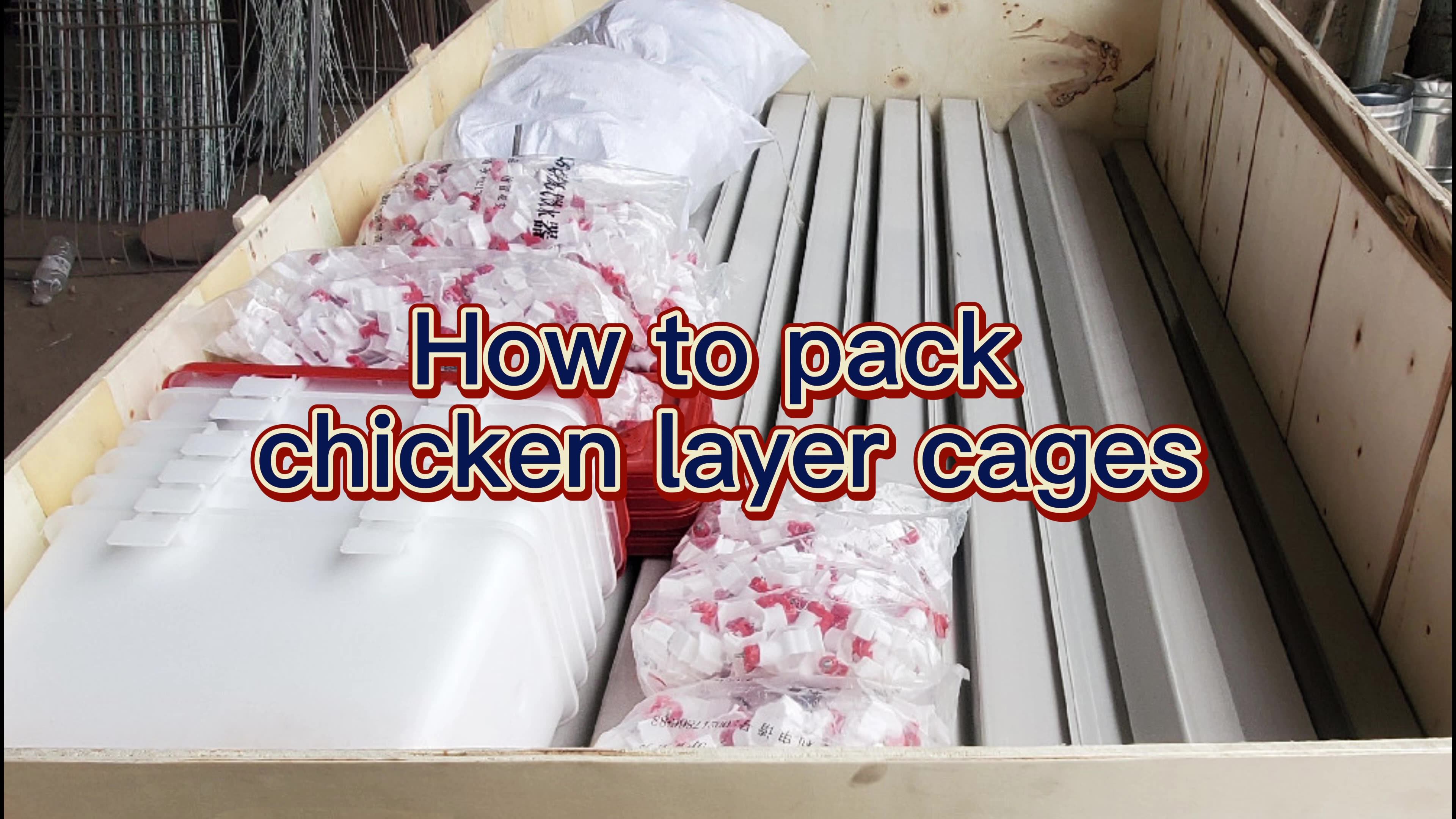 Poultry House Capacity 250 Chickens With 4 Tiers Layer Chicken Cage For