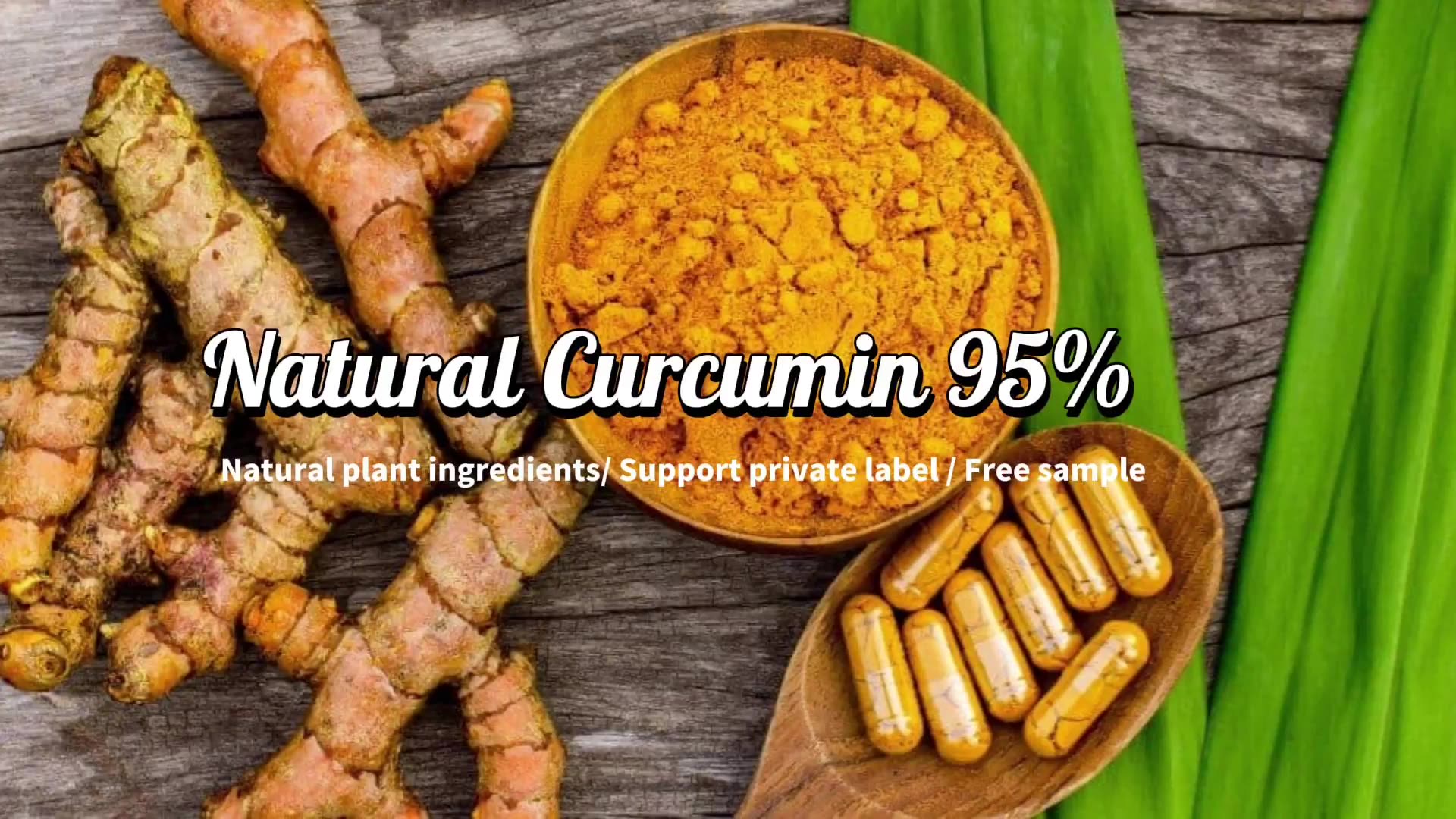 Organic Natural Turmeric Extract Curcumin Bulk Curcumin 95 Extract
