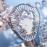 Цветок знает румянец единорога Снежный Крем Осветление Жемчужина и отек