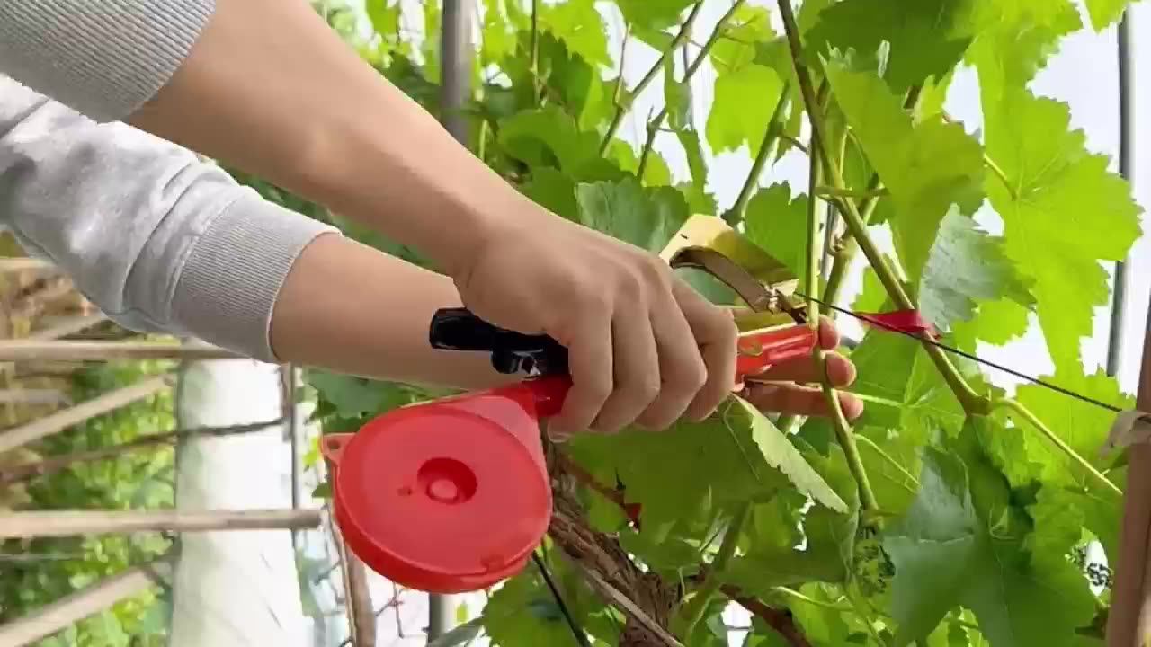 Hdx Plant Tying Machine Taper Tool Garden Plant Taper Tool For