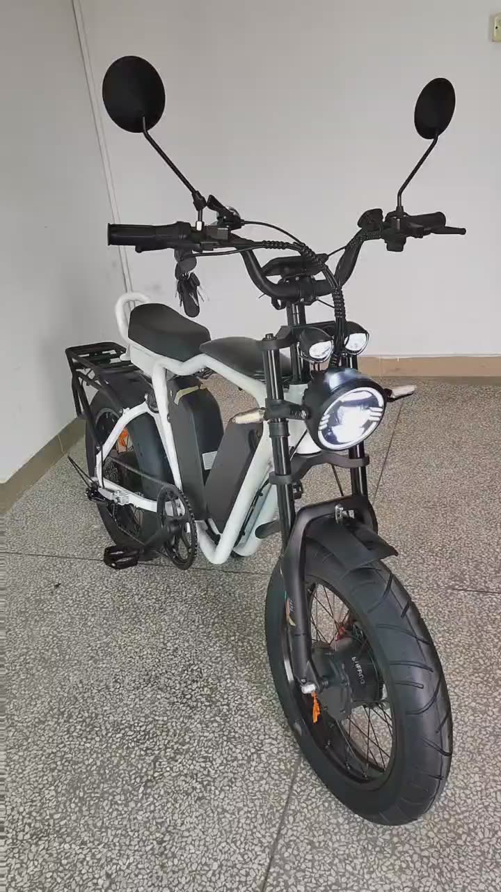 52v Electric Bike Bafang Dual Motor Dual Battery 2000w 44ah Full
