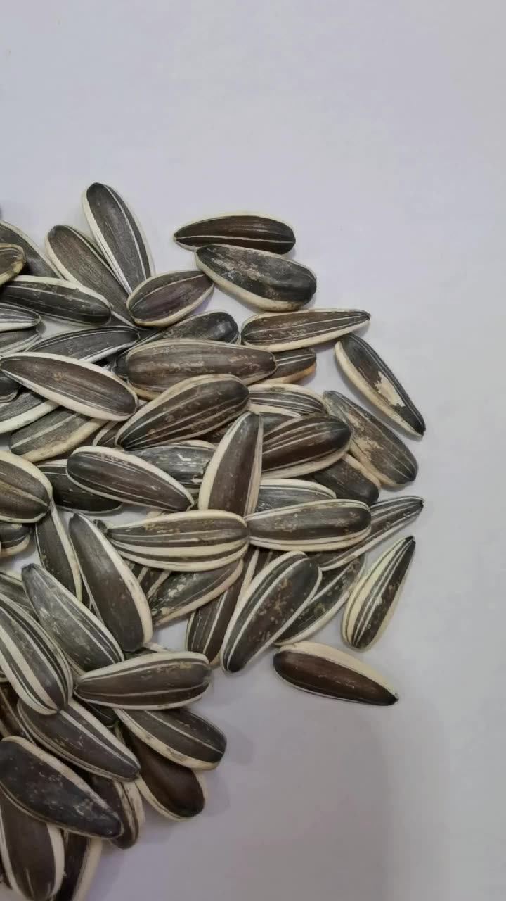 Семена экспорт