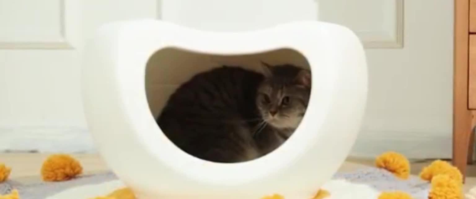 Indoor & Outdoor Use Plastic Weatherproof Cat House & Cat Bed Buy