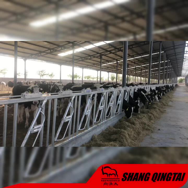 Cattle Headlock Stall For Cow Cattle Dairy Farm Livestock Equipment