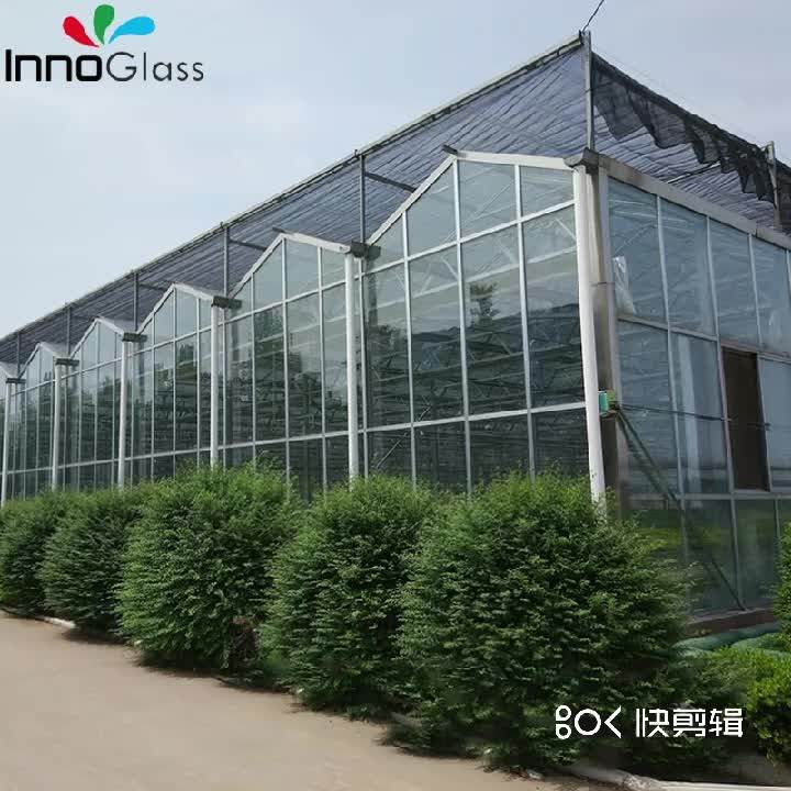 6mm+0.76+6mm High Strength Safety Tempered Laminated Glass 12.76mm