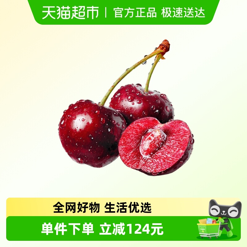 Orchard Password Large Cherry Cherries Imported from Chile