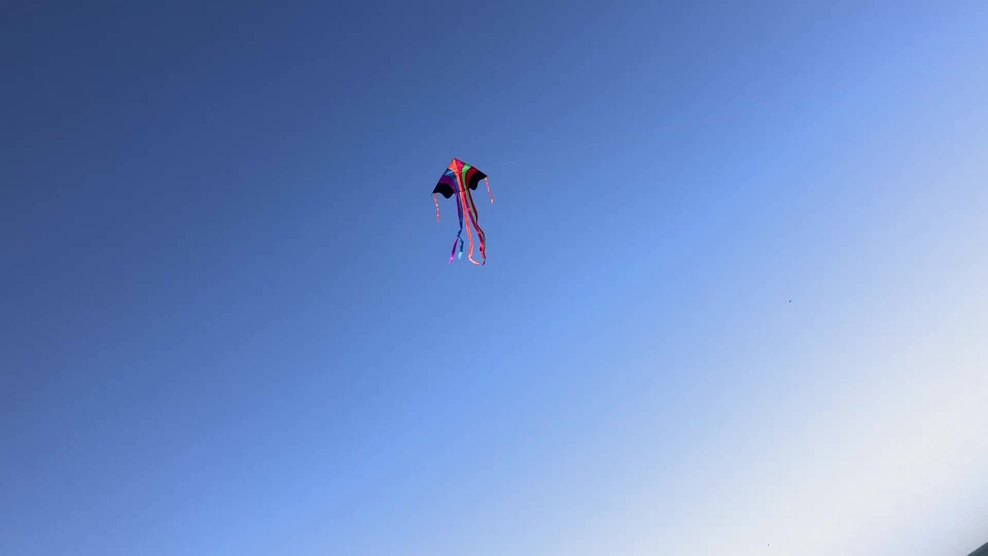 Wholesale Outdoor Easy Flying Large Delta Long Tail Umbrella Cloth Huge