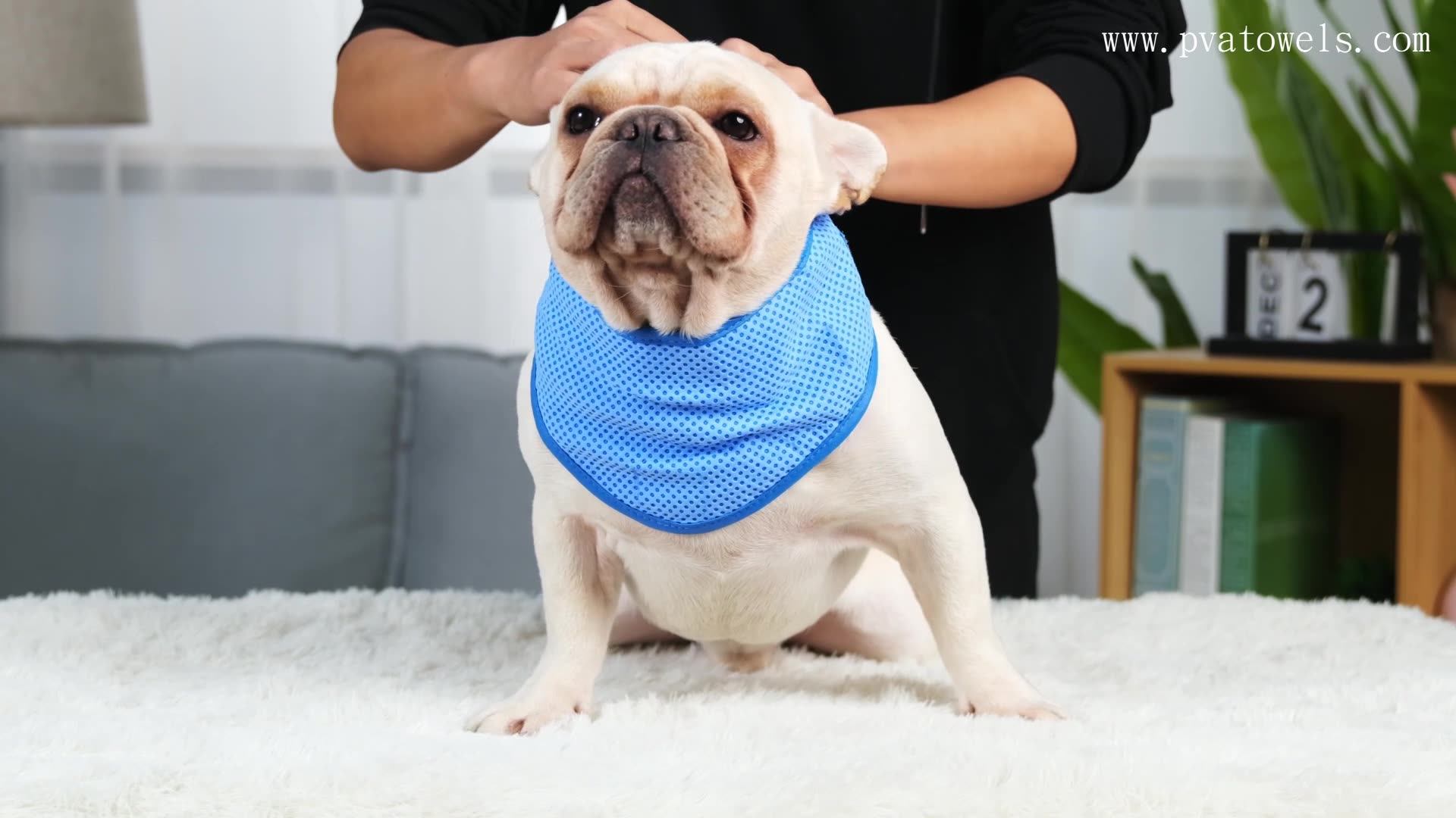 Chill Dog Ice Bandana Adjustable Summer Neck Scarf Dog Cooling Bandana