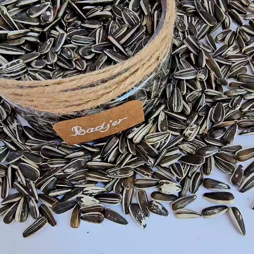 Sunflower Seeds For Birds Animal Feed Birds Seeds Small Size Badjer
