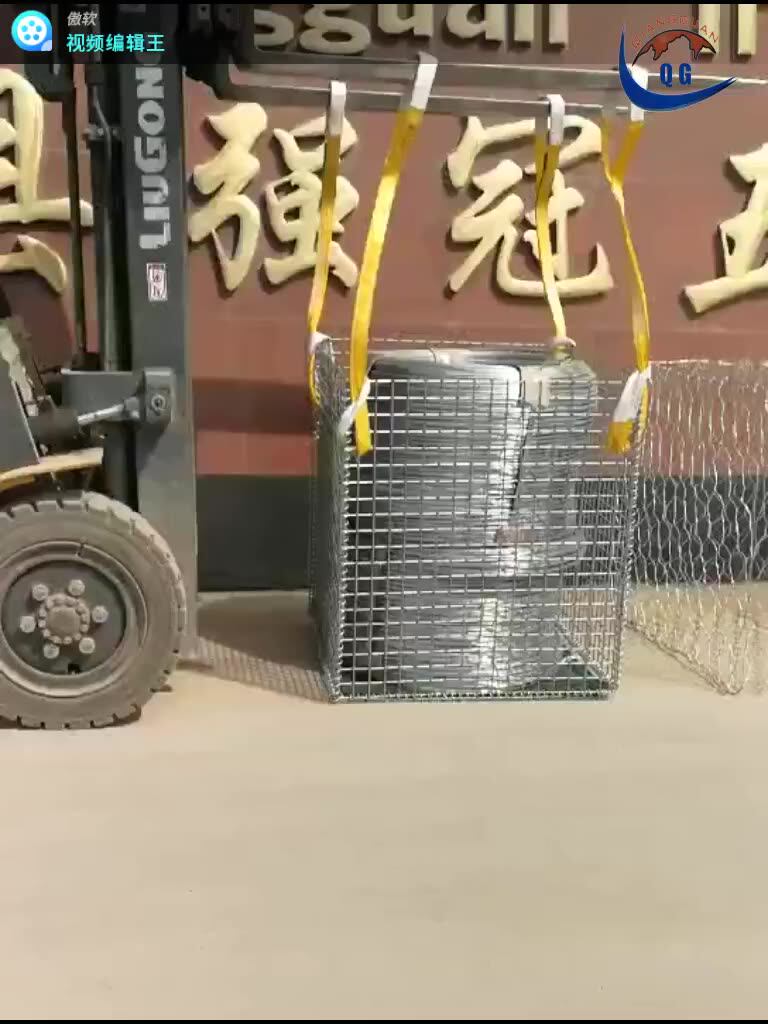 Welded Galvanized Wire Mesh/hot Dipped Galvanized Welded Gabions From