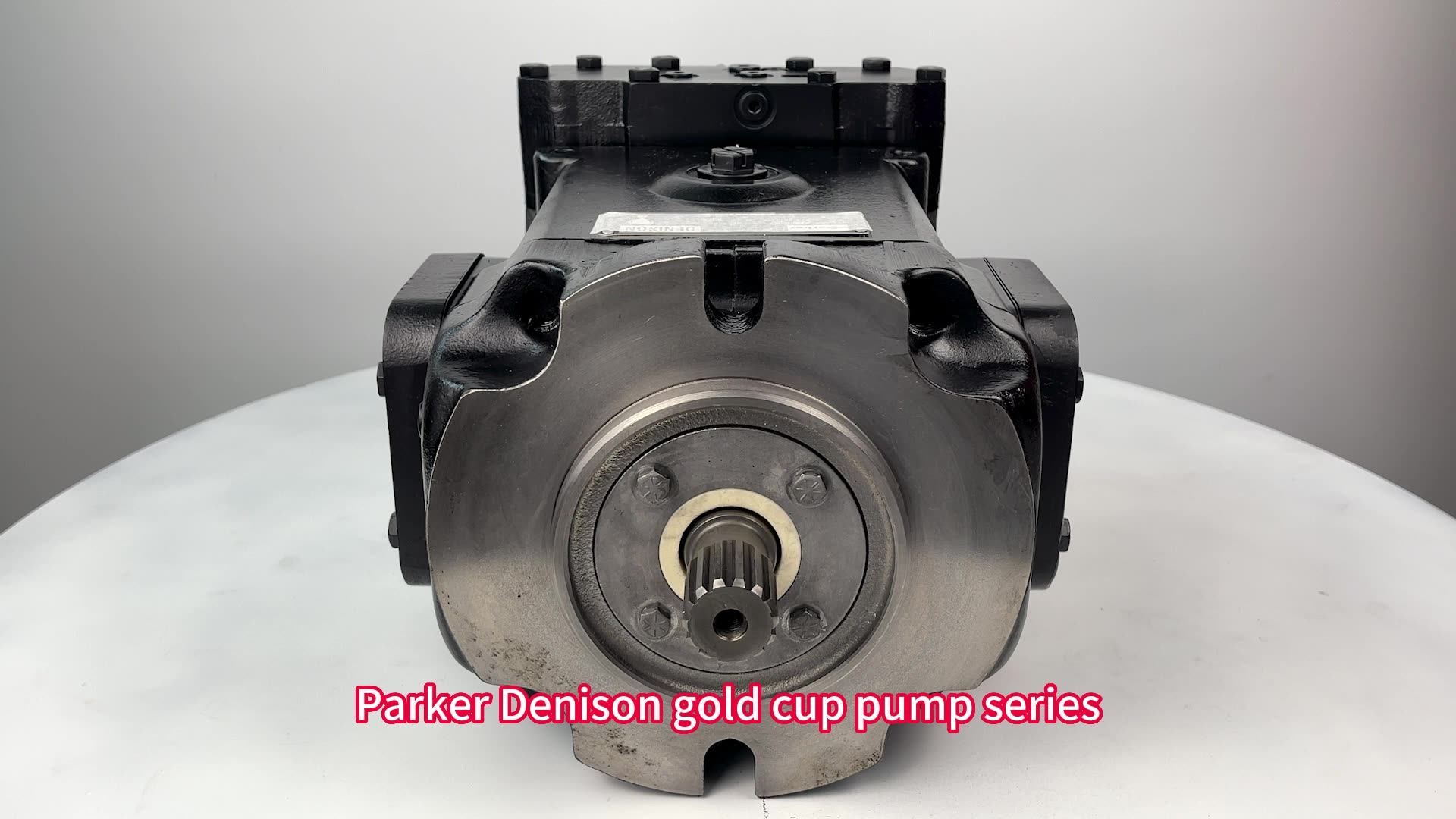 High Pressure Hydraulic Piston Pump Parker Denison P6 P7 P14 Gold Cup