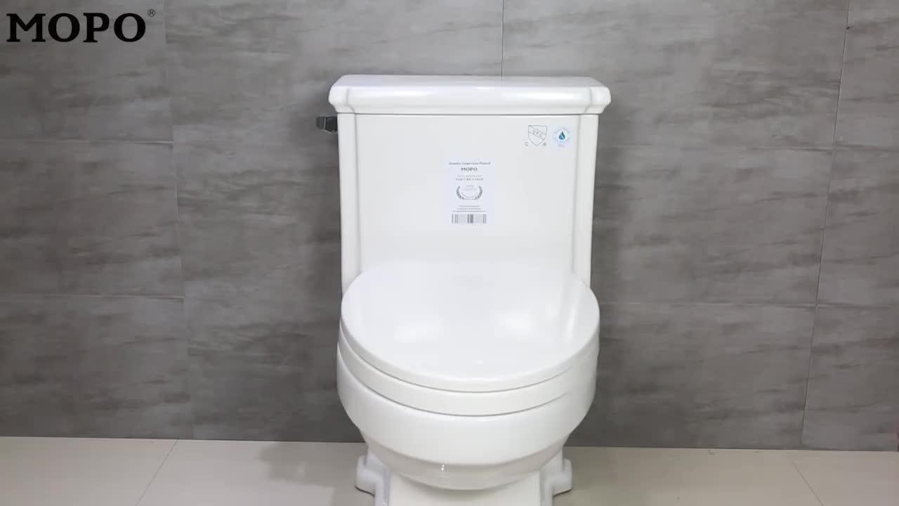 Turkish Cheap Price Pp Toilet Seat Ceramic Washdown Two Piece Toilet