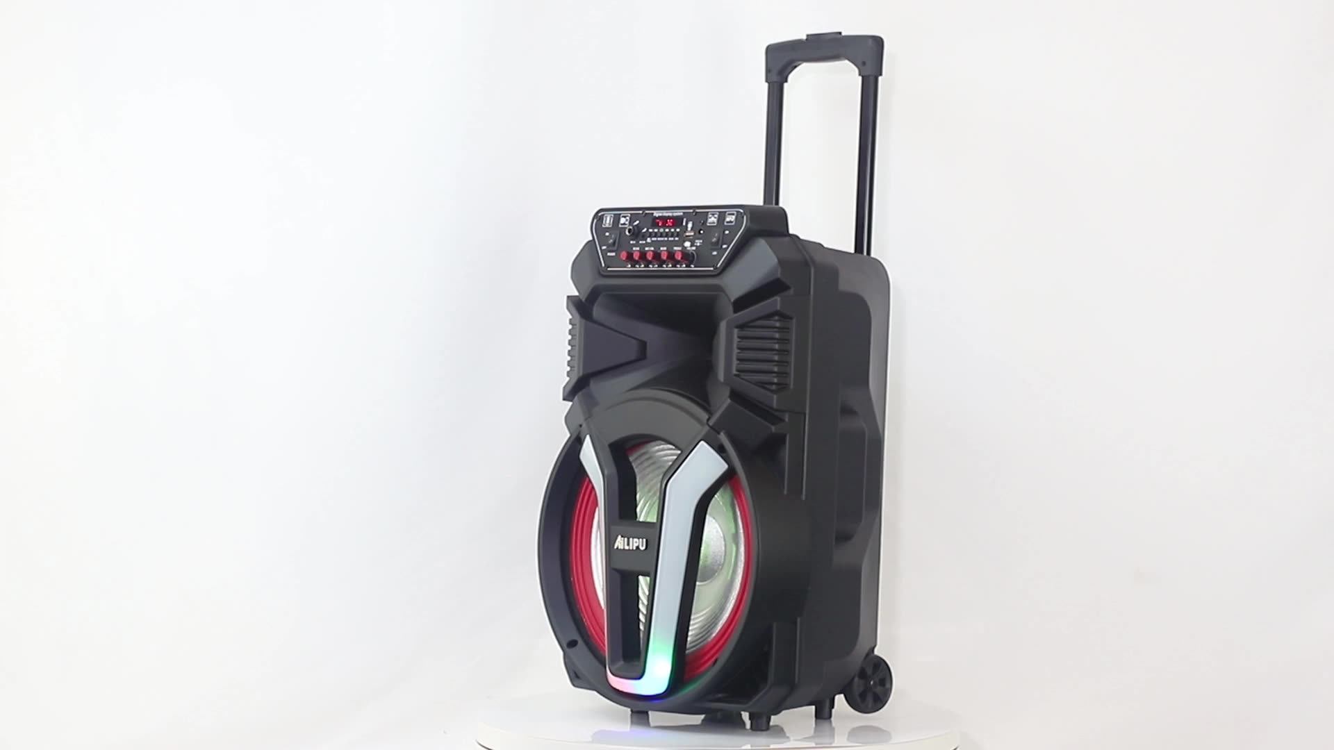 China 12 Inch 8000w Trolley Speaker Cheapest Price Home Treatre System