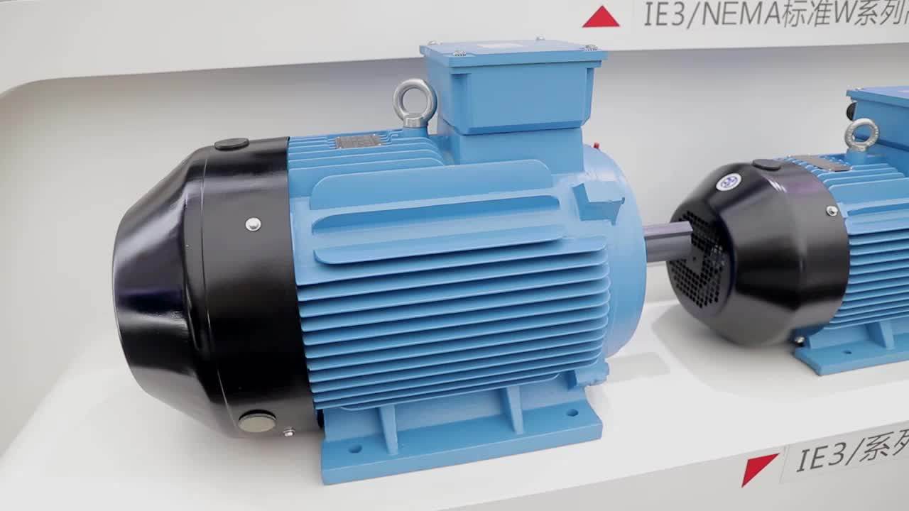 Wolong Ie2 2p 380v 1hp 3 Phase Induction Water Pump Electric Blower Fan