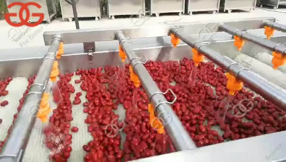 Frozen Fruit And Vegetable Production Line Fruit Processing Machine