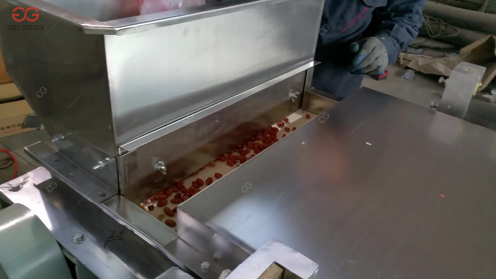 Commercial Almond Peanut Chopping Machine Nut Chopper And Cutter Buy