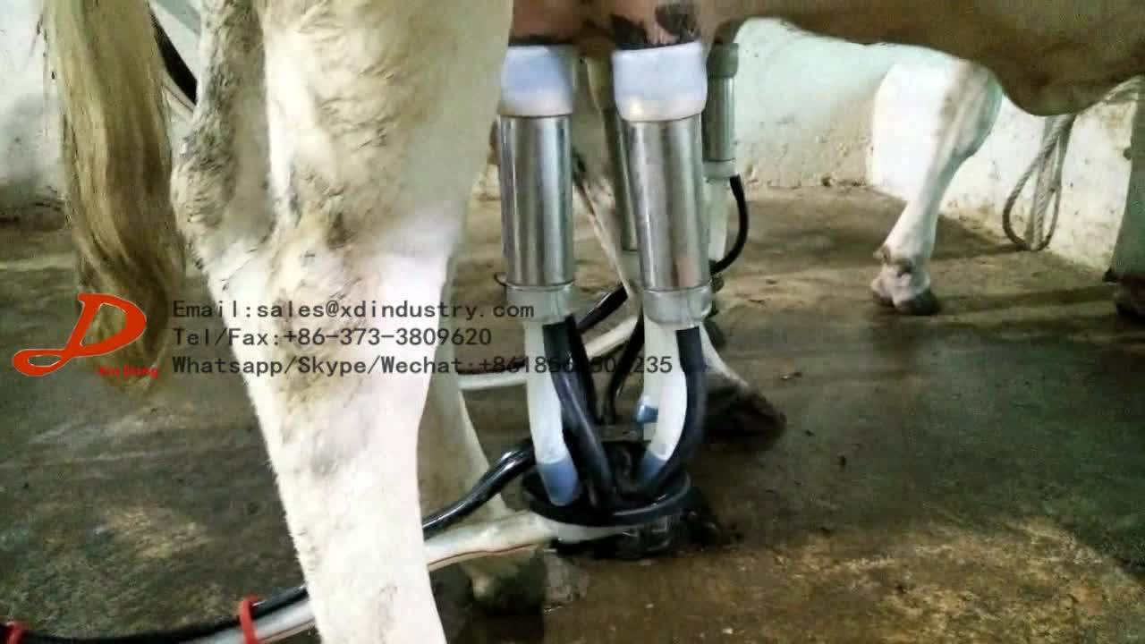 Prices For Dairy Farm Small Mini Cow Milking Machine Price Buy Prices
