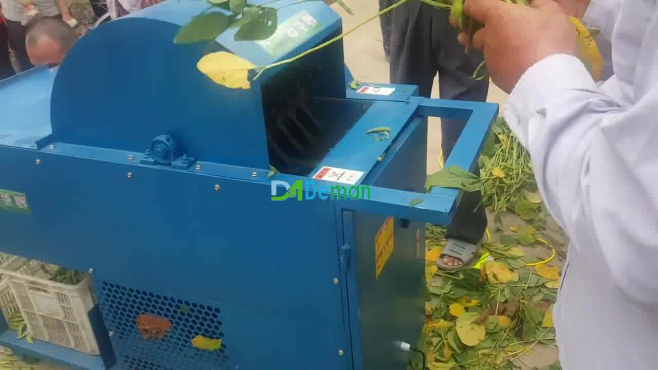 Young Soya Bean Picker Vegetable Soybean Picking Machine Green Edamame