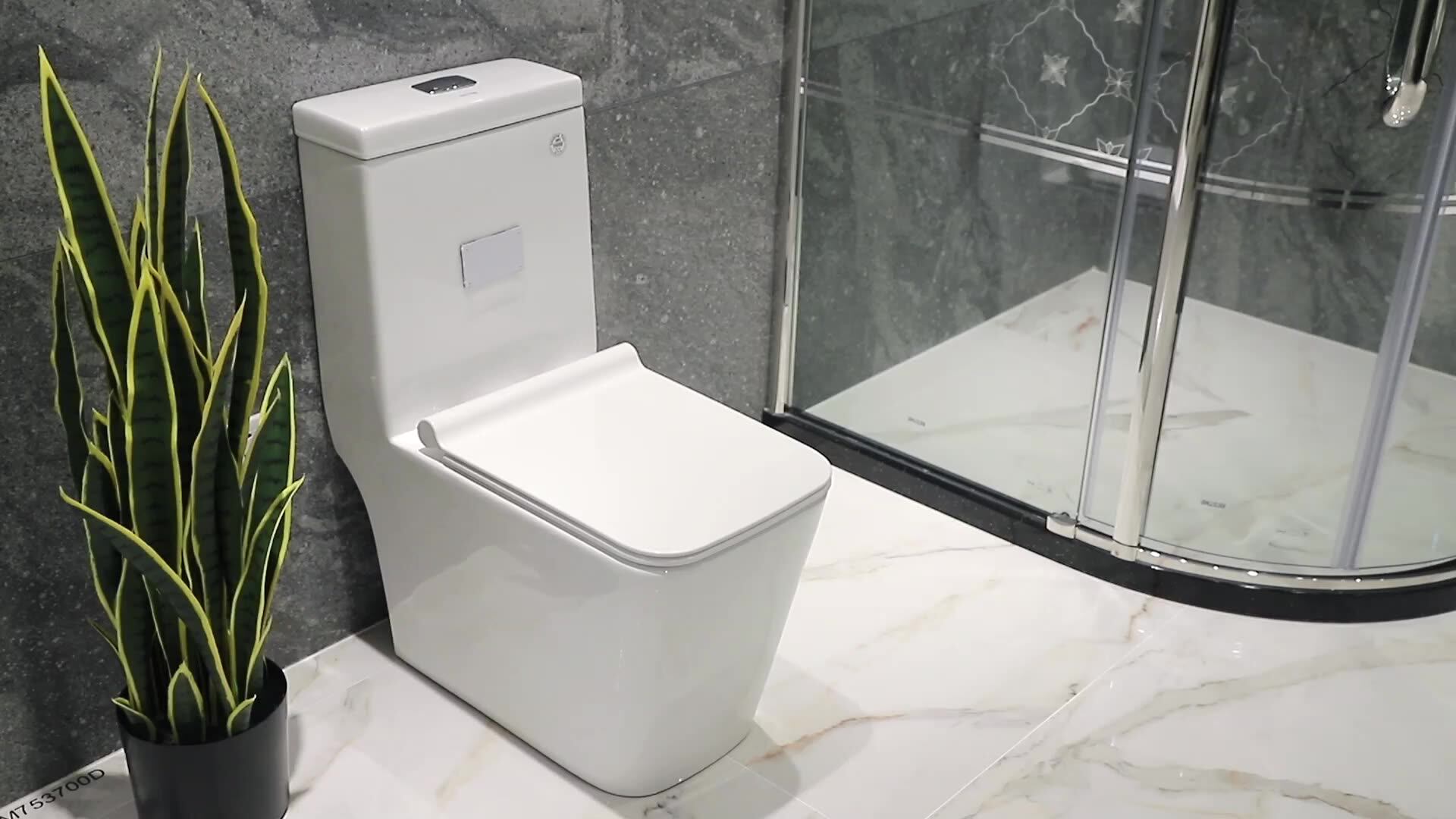 Watermark Two Piece Water Saving Ceramic Portable Toilet Seat Buy