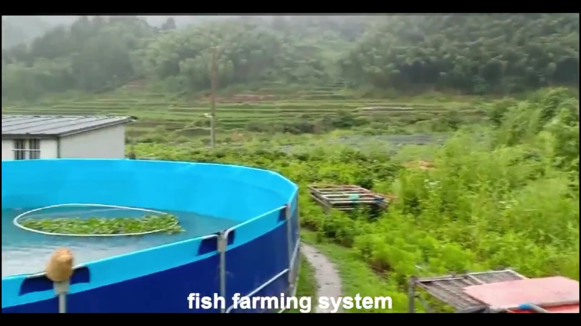 Wlz High Strength Pvc Agriculture Fish Tank Fish Pond Tarpaulin