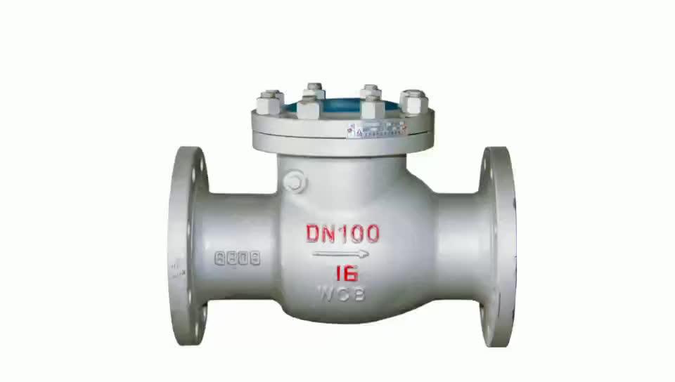 March Expo Hot Selling Manufacturer Dn50 Pn16 Wcb Casting Non Return Swing Type Check Valve