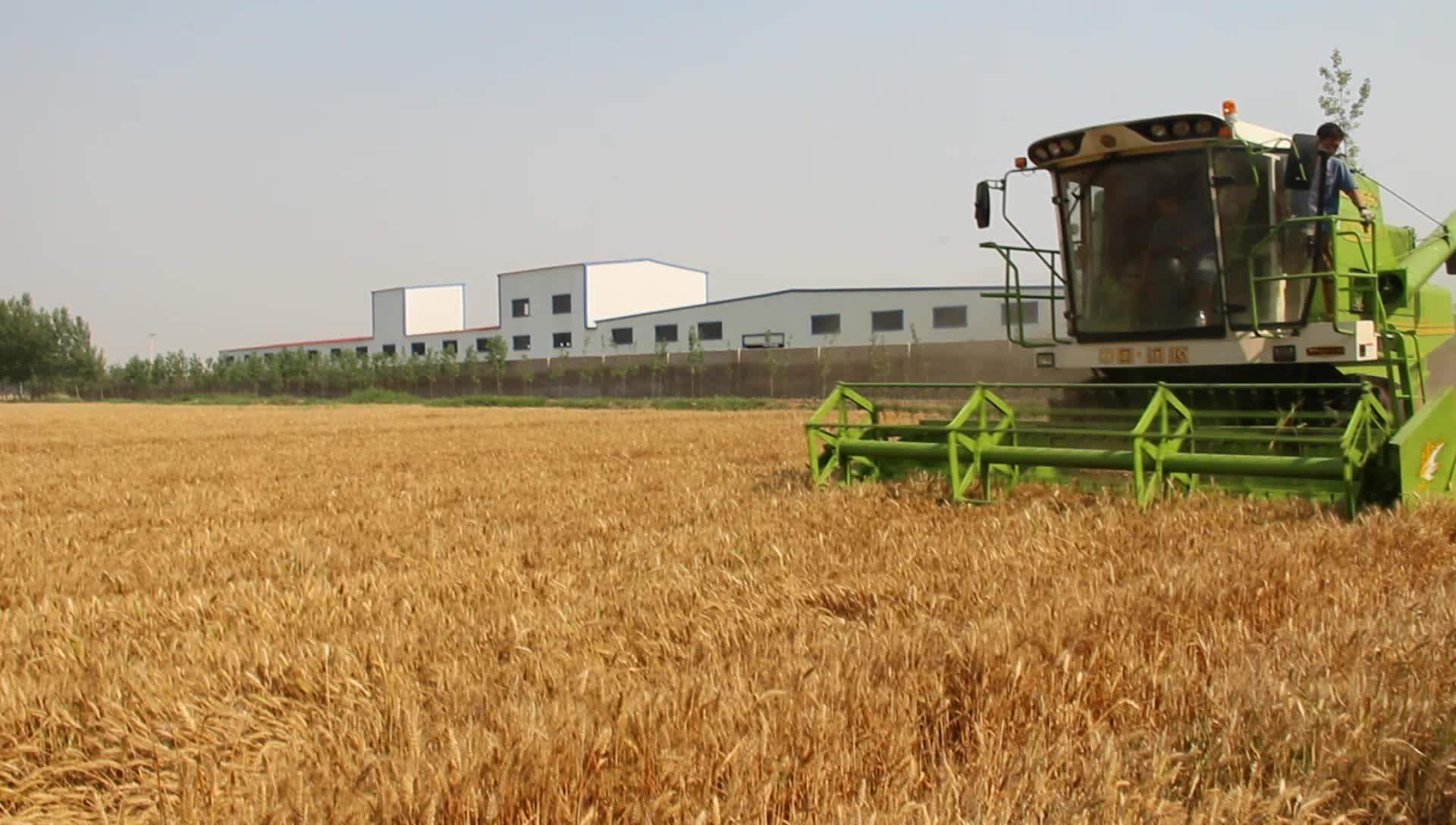 Large Wheat / Rice Combine Harvester G60 Buy Selfpropelled Rice