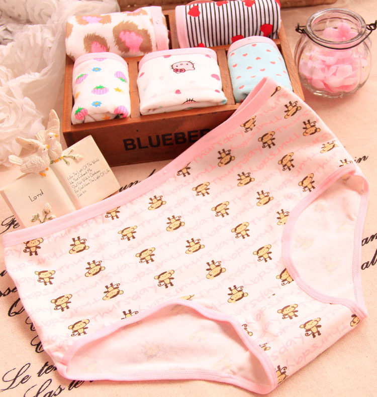 Slip jeunesse Y35-2 en coton - Ref 643303 Image 59