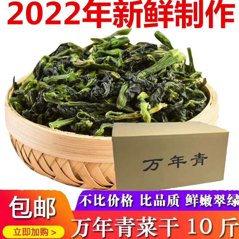 10 catty of whole box of young vegetables dried peasant dried vegetables dried and tender vegetables with dried and dried vegetables dried vegetables dried vegetables dried vegetables dried vegetables dried vegetables dried vegetables dried vegetables dried vegetables dried vegetables dried vegetables dried vegetables dried vegetables dried vegetables dried
