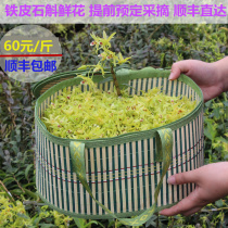 Haiyu Zhejiang alpine ecological non-Huo Shan fresh dendrobium dendrobium flowers by appointment to pick a pound Shunfeng
