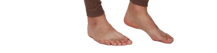 Pantalon collant en coton - Ref 750127 Image 16