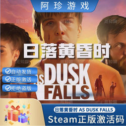Steam Genuine Product as Dusk Falls Sunset Activation Code for China Region Cdkey