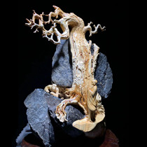 Natural log tree root cliff cypress silk Nan Sandalwood Agarwood root carving wood carving ornaments Living room ebony carving crafts