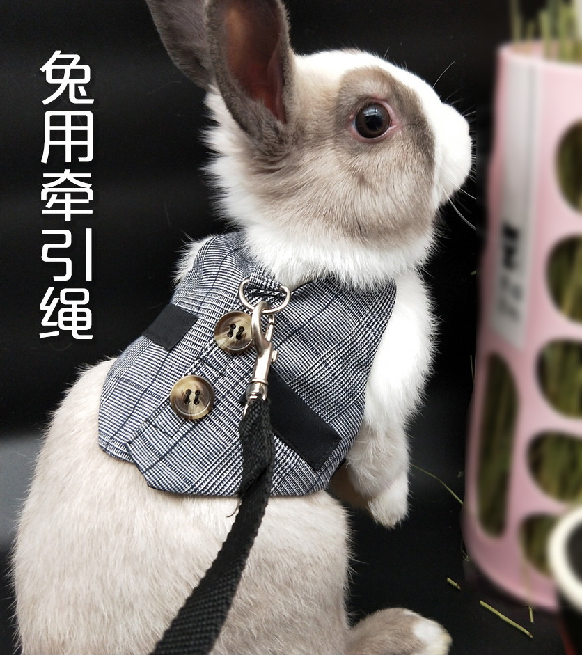 Rabbit traction rope small clothes vest-style anti-break rabbit rope for rabbit rope Rabbit Rope Rabbit rabbit chain Pet Supplies