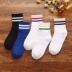 Vớ nữ vớ vớ mùa thu và mùa đông vớ cotton màu rắn hai thanh vớ thể thao sọc Hàn Quốc dễ thương đống vớ nữ vớ - Bít tất nữ
