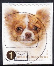 Belgian Letter Marketing Stamp Cutout 2014 Common Dog Breeds 10-9: Chihuahua