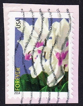 U.S. Letter Marketing Stamps Cutout 2014 Winter Flowers 4-2: Cyclamen