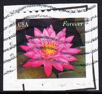 U.S. Letter Marketing Stamp Cutting 2015 Water Lily 4-2