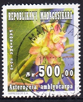 Madagascar Letter Postage Stamp 2011 Flowers 4-4: Blumera