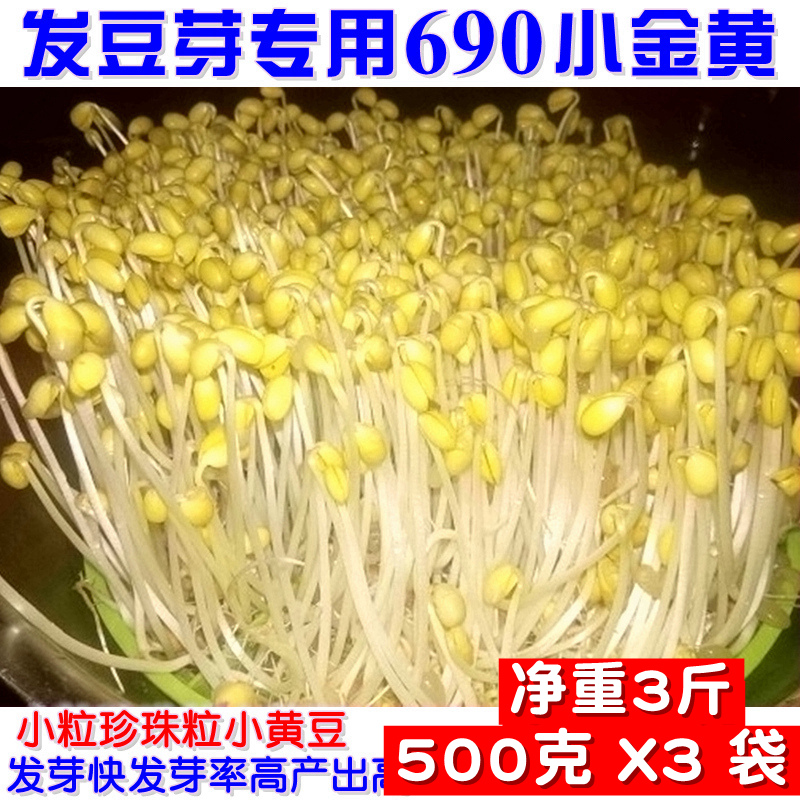 3 pounds of new soybean germination special bean bud natto bean bud non - genetically modified bean sprout bean