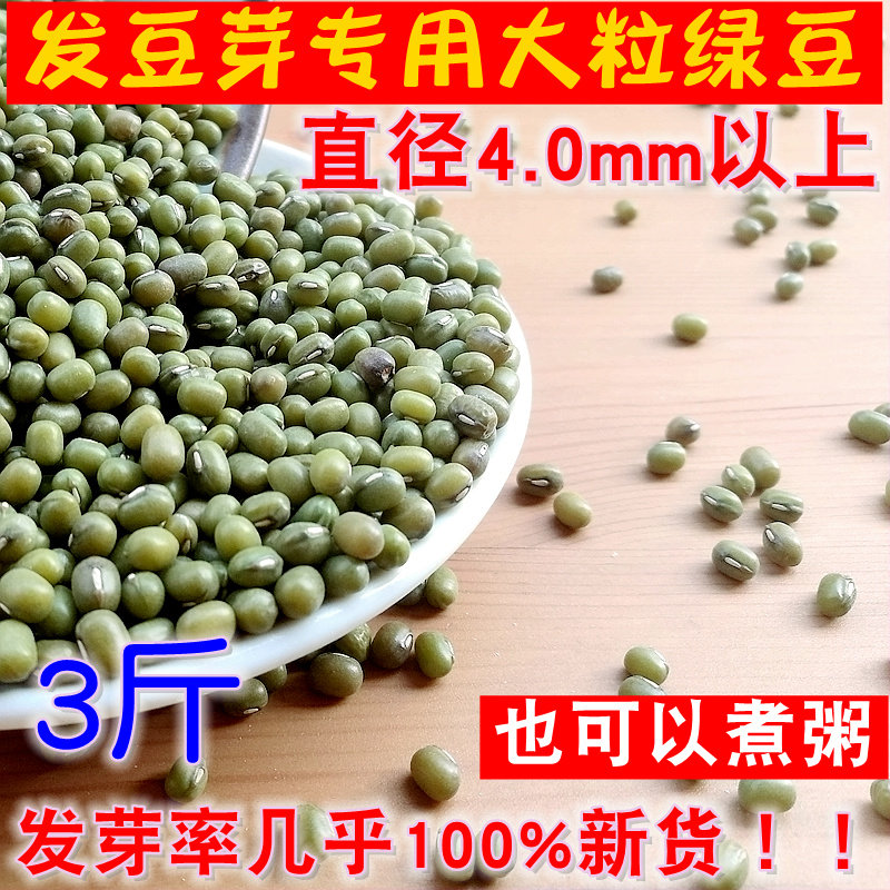 Hair Bean Sprout Special Large Grain Green Beans 3 Jin Large Grain Selection Bud Bean Raw Bean Sprout Bright Green Beans New Goods Can Cook Congee