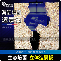 P brand landscape stone fish tank background board ecological cultivation three-dimensional landscape board sea fish tank landscape stone shape