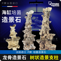 P brand landscaping stone keel landscaping stone ecological cultivation fungus landscaping stone seawater fish tank landscaping stone shape free of explosive algae