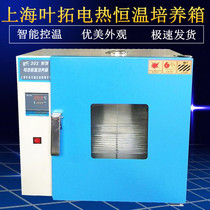 Shanghai Ye Tuo 303-0A 303-1A -2A-3A electric thermostatic incubator Digital Display Smart meter Q